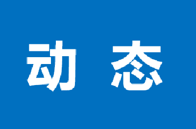 “知产”变“资产”！前三季度，知识产权质押融资破亿