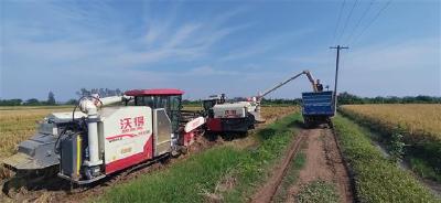荆州：科技助农 雨口夺粮保丰收