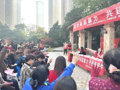 荆州区妇联开展 “反家庭暴力日”宣传活动
