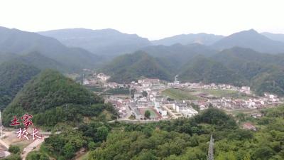 土家校长：高敏