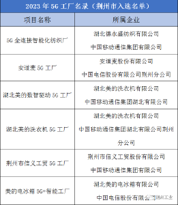 国家级5G工厂！荆州6项目入选