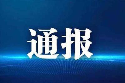 湖北省纪委发布最新通报：开除党籍和公职