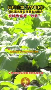 看这家农场如何靠农旅融合 奏响致富新“牧歌”