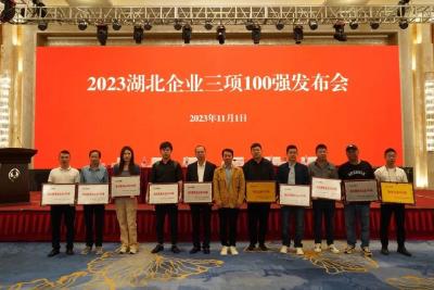 湖北三项100强榜单出炉！荆州16家企业上榜