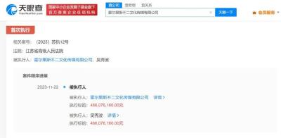 4.66亿！吴秀波成被执行人