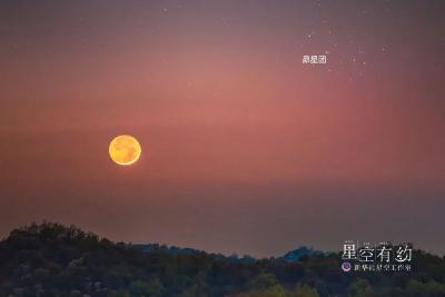 新年首月，有这几场“大戏”→
