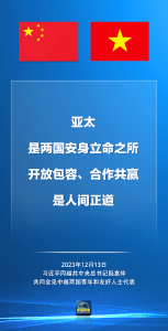 习近平同越共中央总书记阮富仲共同会见中越两国青年和友好人士代表