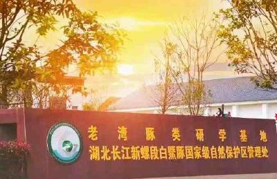 2023年度湖北省青少年自然教育绿色营地落户洪湖