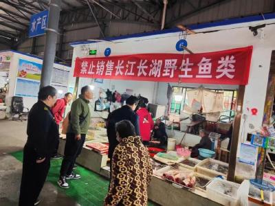 沙市区市场监管局开展冬季长江禁捕专项行动