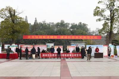 弘扬宪法精神 荆州区开展国家宪法日宣传活动
