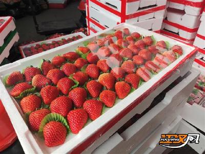 买水果自由了！车厘子和红颜草莓价格均大幅“跳水”