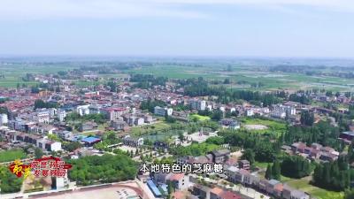 李芳芳——监利市周老嘴镇周沟社区“发展顾问”
