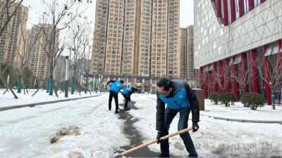 以雪为令 志愿先行