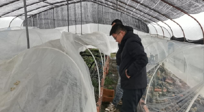 雪中送“技”到地头  纪南文旅区组织农技人员包村服务
