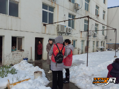 荆州区城南街道学堂洲社区党员干部扫雪除冰抗灾害