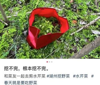 不要碰！不要吃！紧急提醒 