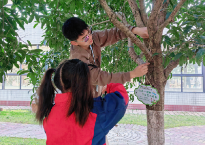 江陵县第一幼儿园：认养一棵树 与它共成长