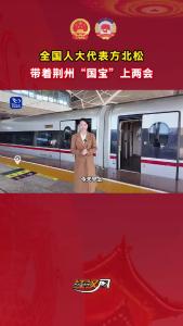 全国人大代表方北松，带着荆州“国宝”上两会