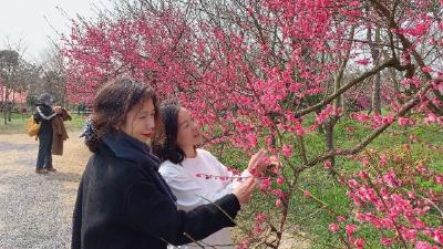 ​“三八”国际妇女节|阳春三月  感受节日的快乐