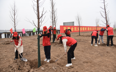 企业青年、大学师生荆江岸边联手植树护绿