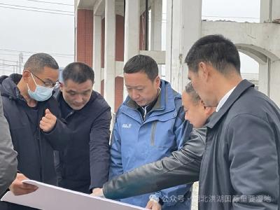 荆州市人大常委会副主任杨运春赴洪湖保护区调研洪湖水质改善提升工作