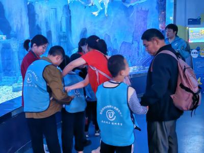 世界自闭症日|带孩子们走进海洋世界——荆州市举办“全生涯服务 全方位关爱”自闭症日活动