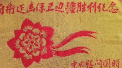 董子红：多么想活着 致敬对越自卫反击战的战友们