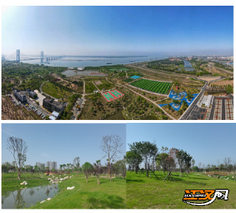 让居民在家门口实现“草坪自由”：荆州市中心城区开放共享公园47个、绿地56个