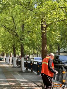道路洁净  绿树成荫：人民路再现“洁、绿、畅、美”画卷