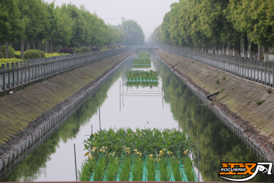 清渠洁岸·共同缔造|江陵县三湖管理区：建设生态浮岛，提升河渠水质  