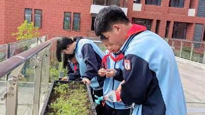 精神文明创建·文明校园丨洪湖市逸群实验学校：为校园植绿，为环保助力