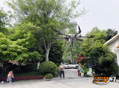 荆州：植保无人机“飞保”古树名木