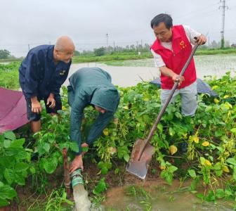 监利市柘木乡：干部党员志愿者“汛”速出击 ，无惧风雨守一线！