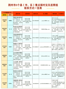 荆州交叉巡察全面展开，重点镇村公布！