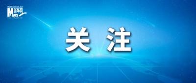 立案处罚2258家！问责党政领导干部208人！