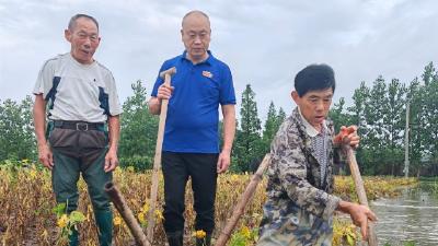 监利市柘木乡：众志成城抗天灾