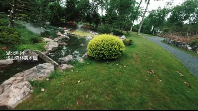 湖北荆州：市郊的绣球花