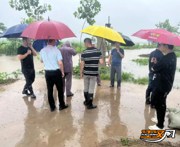 迎战强降雨|江陵县秦市乡：多措并举防汛情，全力以赴筑“防线”