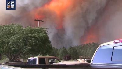 全球多地遭遇高温酷暑 已致上千人死亡