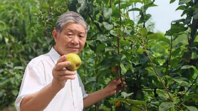监利市柘木村退休教师王金城：小院绿意浓， 花香满庭芳！