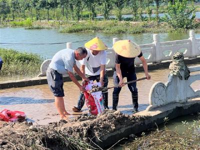 监利三洲：打好农田“保卫战”