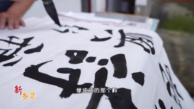 V视丨赖金辉：乡村文化守望者