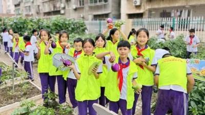 公安县：太空种子种植基地丰收啦