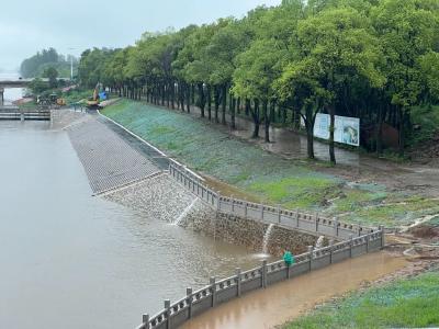 接连强降雨，看“最强大脑”怎样调度荆州防汛→