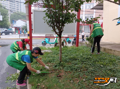 共同缔造 美好家园|沙市区王板桥社区：行动践真心  除草助绿化