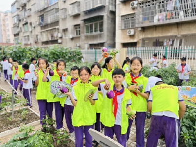 播下太空种 收获满篮香！公安县孱陵小学太空种子种植基地喜迎丰收