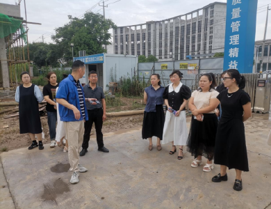 清渠洁岸·共同缔造|沙市区锣场镇人大代表团视察重点项目