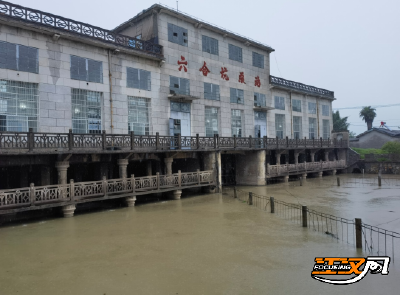 迎战强降雨|江陵县六合垸管理区全力以赴防汛抢险