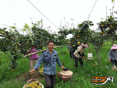 荆州区双垱村：产业赋能 续写巩固拓展脱贫攻坚成果新篇章