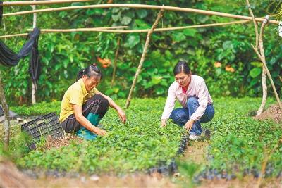 阔步迈向人与自然和谐共生的现代化——习近平总书记引领新时代生态文明体制改革向纵深推进